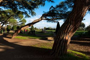Parc des Oblates - Nantes - Loire-Atlantique - France - 2019 - © All rights reserved by Laurent Dubois